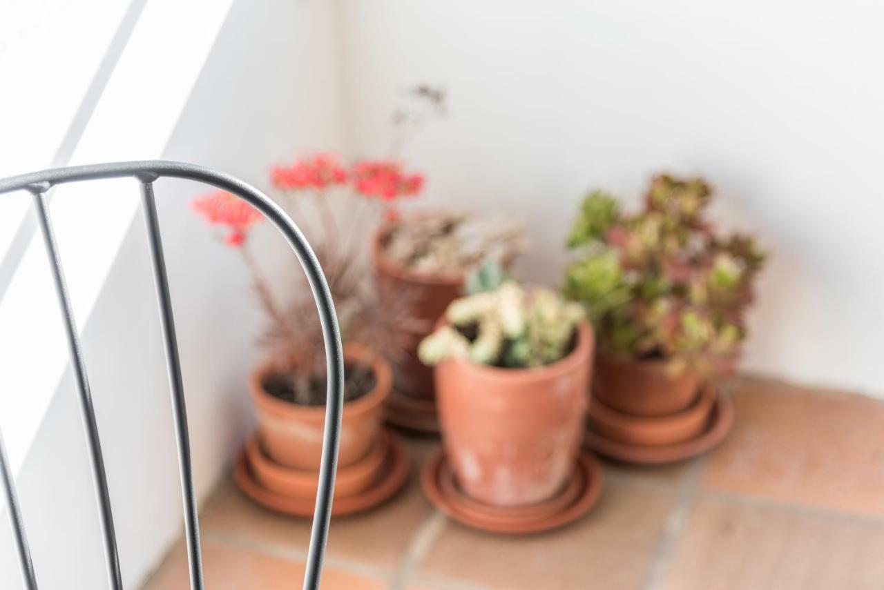Guestready - Cactus Balcony - Free Private Parking Apartment Porto Exterior foto